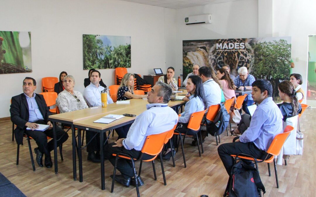 Reunión Interinstitucional para la Gestión de Sustancias Químicas Industriales en Paraguay