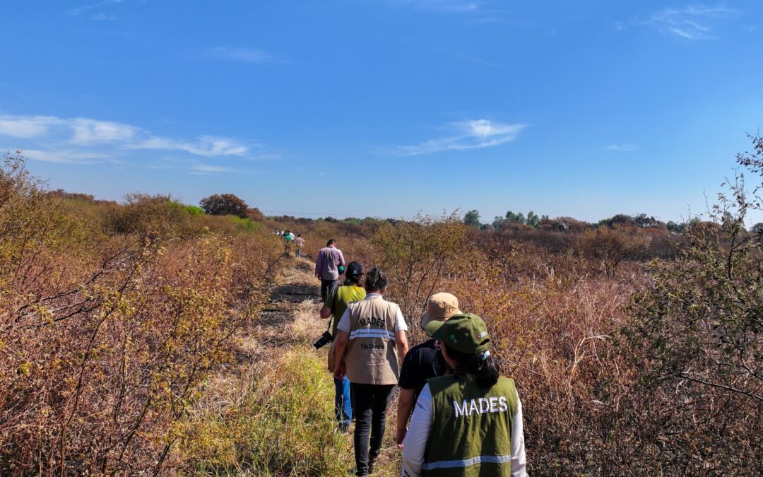 Verifican daños causados por incendio en la Reserva Banco San Miguel para análisis y propuestas de regeneración natural