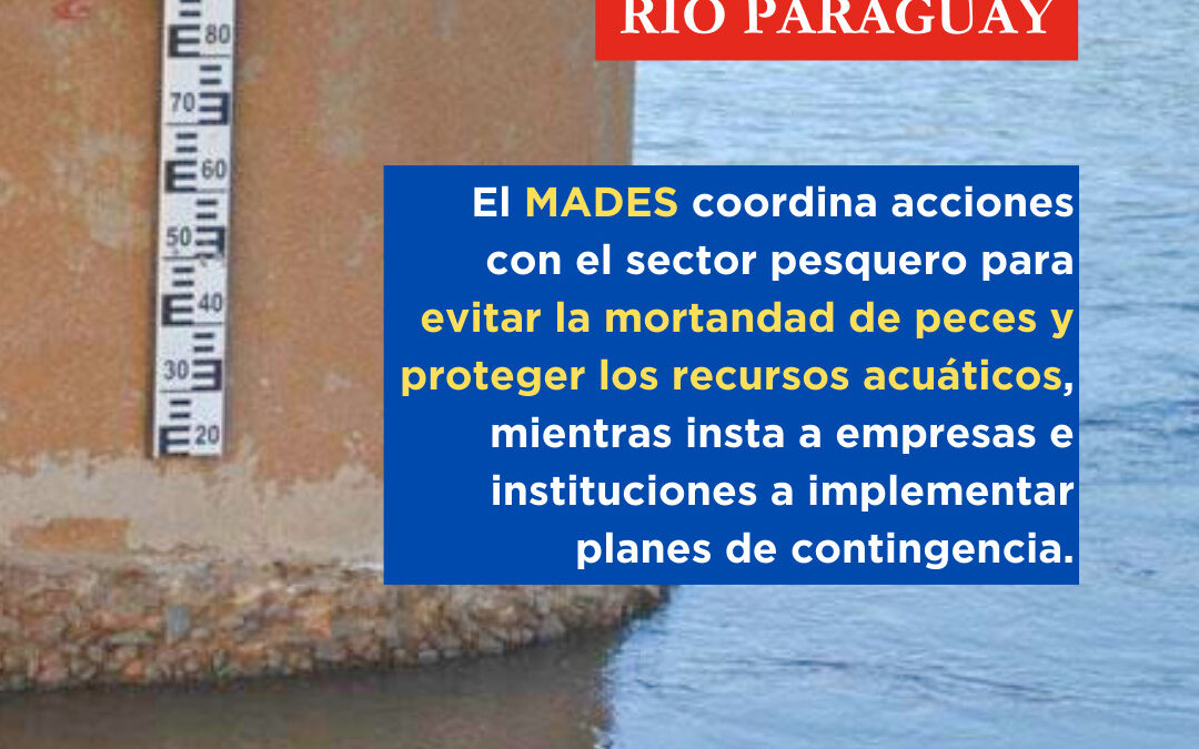 Bajante del río Paraguay: MADES alerta sobre riesgos y colabora con sector pesquero para proteger recursos acuáticos