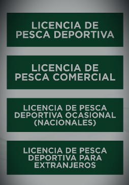🎣 Para una pesca responsable, necesitás contar con las licencias correspondientes