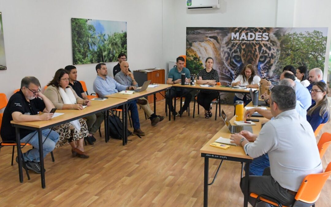 Coordinadores de proyectos del MADES presentan avances en reunión interinstitucional