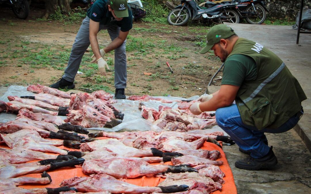 Detienen a cazadores ilegales e incautan partes de animales silvestres en Benjamín Aceval