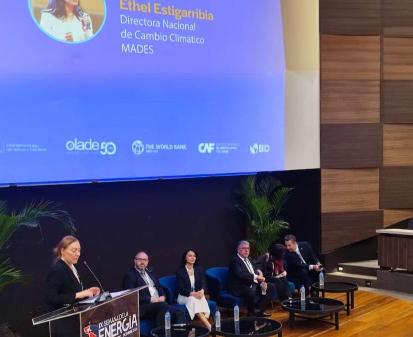 IX Semana de la Energía 2024