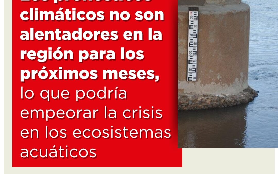 Los pronósticos climáticos no son alentadores en la región para los próximos meses, lo que podría empeorar la crisis en los ecosistemas acuáticos