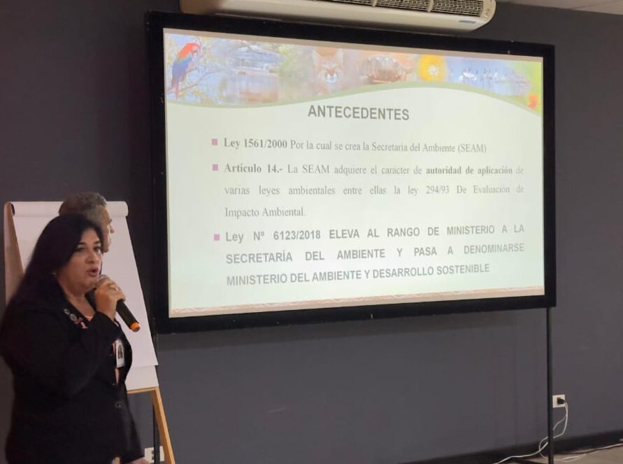 MADES participa en Mentoría Internacional sobre la Lucha contra la Deforestación Tropical