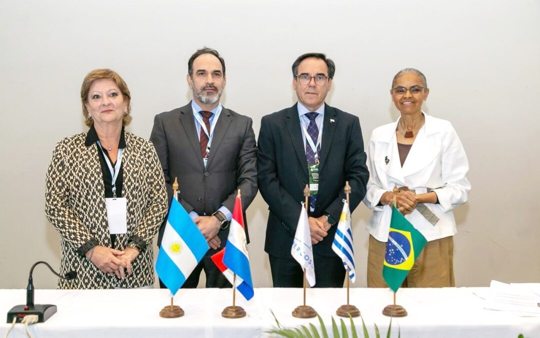 MADES participó en sesión especial del Foro de Ministros y Ministras de Medio Ambiente de América Latina y el Caribe en Brasil