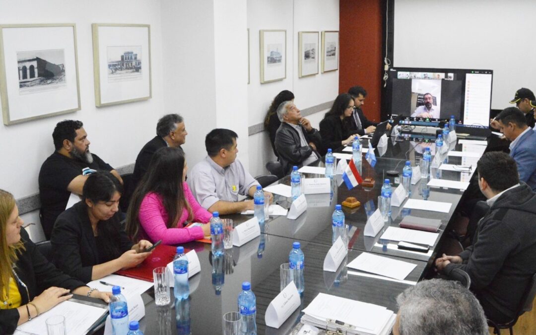 Miembros de la COMIP presentan informes sobre avances en trabajos realizados