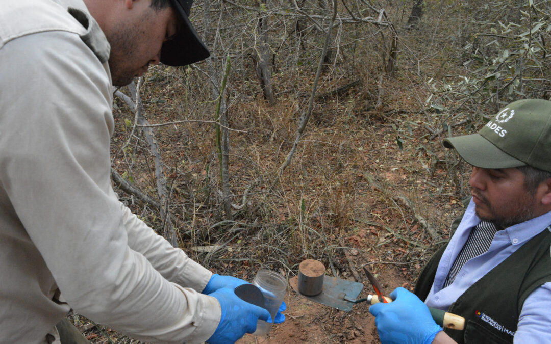 Monitoreo ambiental en el Parque Nacional Tte. Enciso: Análisis de captación de carbono total en suelos