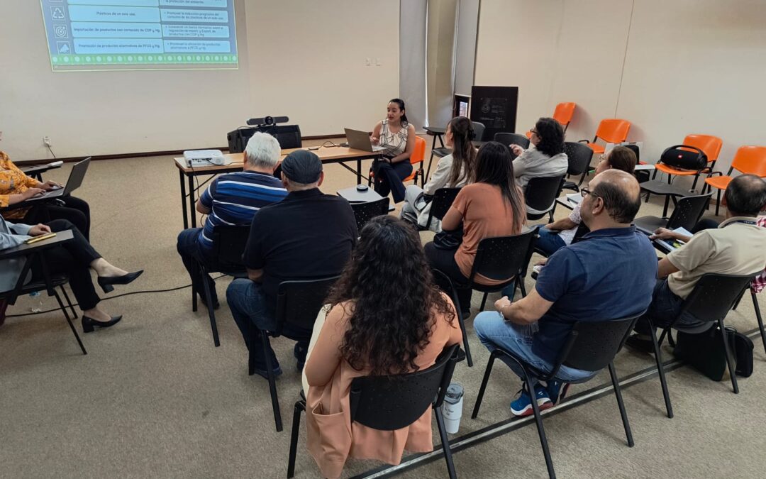 Reunión de cierre del proyecto “Soluciones libres de mercurio y COP” presentó avances y plan 2025