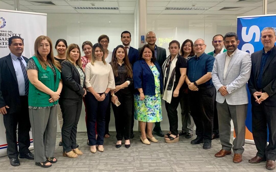 Reunión interinstitucional para fortalecer la gestión de calidad del aire y salud pública en Paraguay
