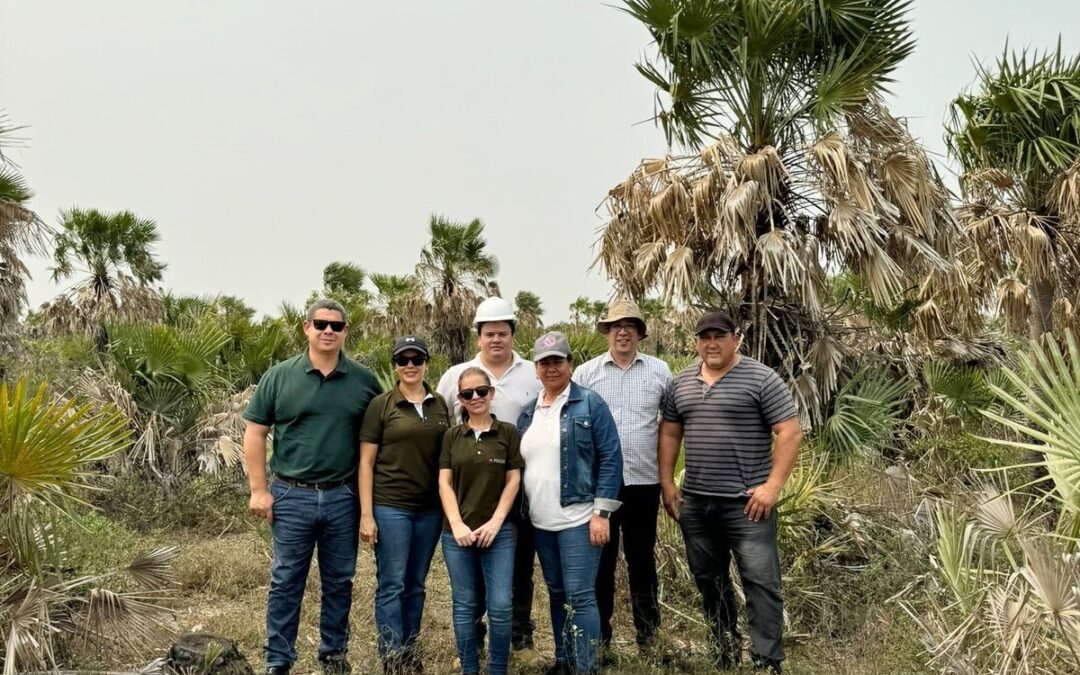 Taller para la elaboración del plan de manejo de la Reserva Ecológica Los Humedales del Cerro Tigre