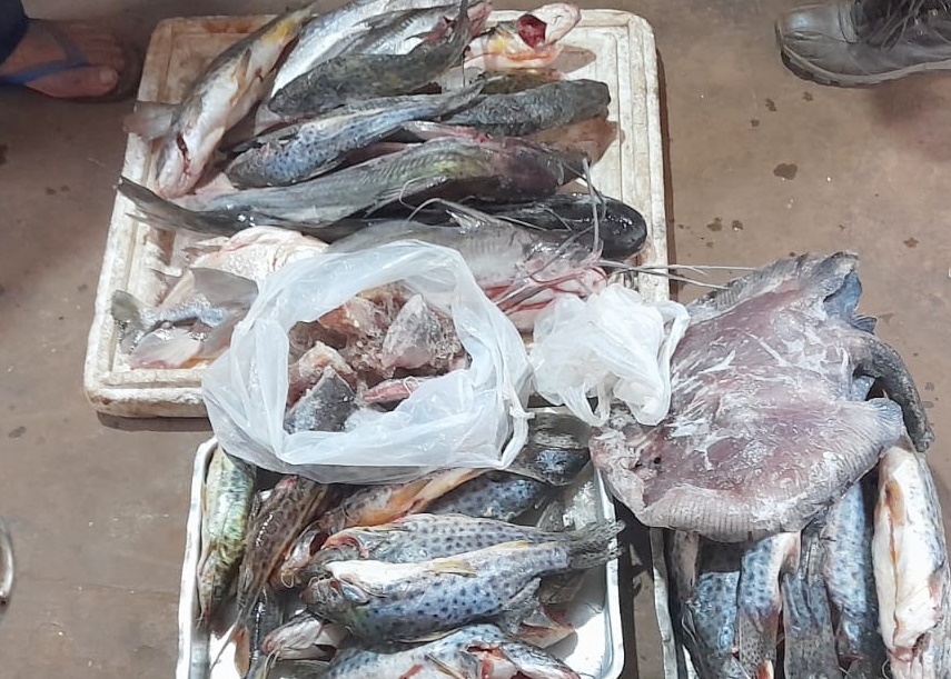 Veda Pesquera: Operativos del MADES logran decomisos en Hernandarias y Ayolas