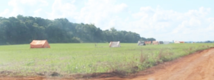 Fiscalizan propiedad invadida en los límites del Parque Nacional San Rafael