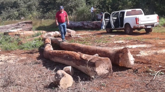 Encuentran maderas aserradas de varias especies en zonas lindantes a la Reserva para Parque San Rafael