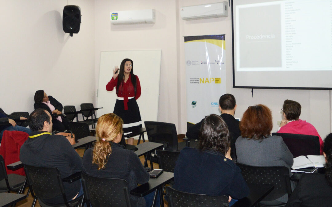 Presentación y validación del Estudio de Salud Pública y Formalización del sector MAPE