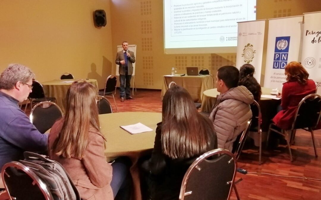 Taller de construcción y validación del Plan de Implementación de la ENBCS con miembros de la sociedad civil 