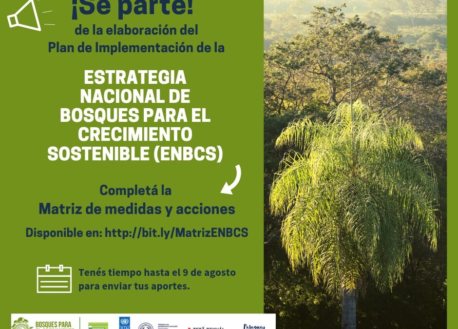 Presentan canal que permitirá la participación ciudadana en la protección de los bosques