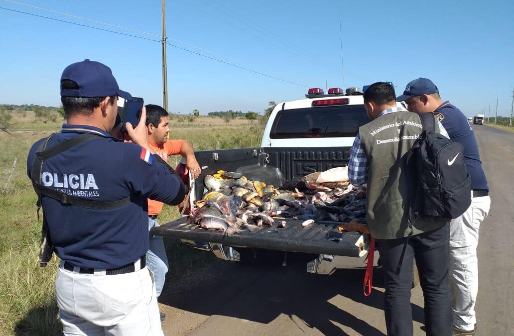 Pescados sin las medidas establecidas fueron decomisados y donados por MADES