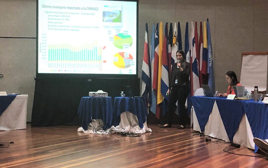 Paraguay presentó avances del Inventario Nacional de Gases de Efecto Invernadero en reunión de la Red INGEI en Costa Rica