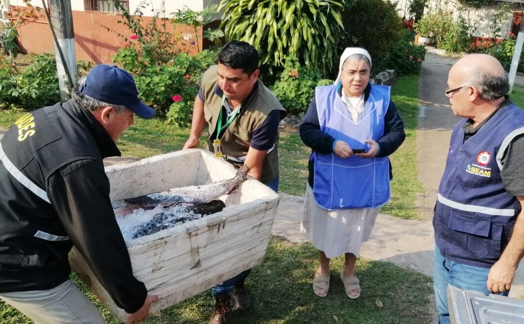Pescados decomisados fueron donados al Leprocomio de Sapucai