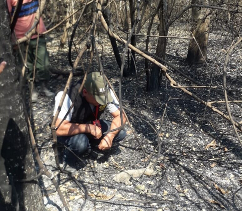 MADES intensifica controles para proteger biodiversidad en Bahía Negra