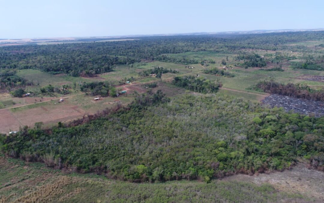 Canindeyú: Ocupantes de una propiedad alteran un área boscosa nativa sin criterio ambiental