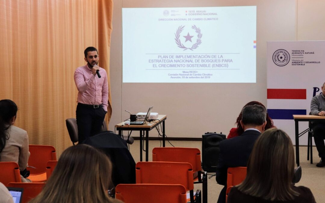 Socializaron Plan de Implementación de la ENBCS a la Mesa REDD+