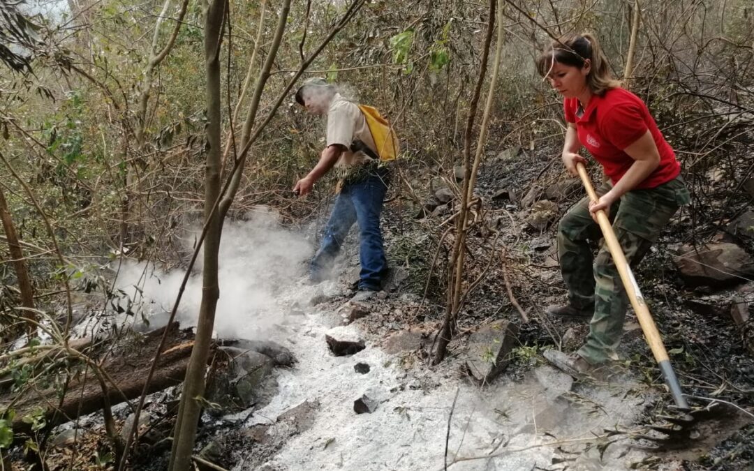 Continúan los trabajos para aplacar los focos de incendio en el Ybytyruzú