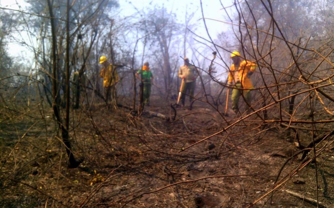 Aprueban donación de US$ 100.000 para enfrentar incendios forestales en el país