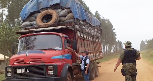 Confiscan gran cantidad de carbón vegetal transportado ilegalmente