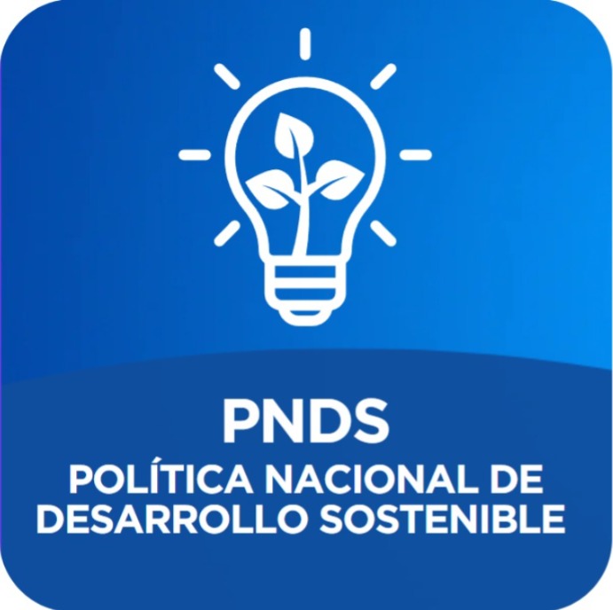  PNDS 