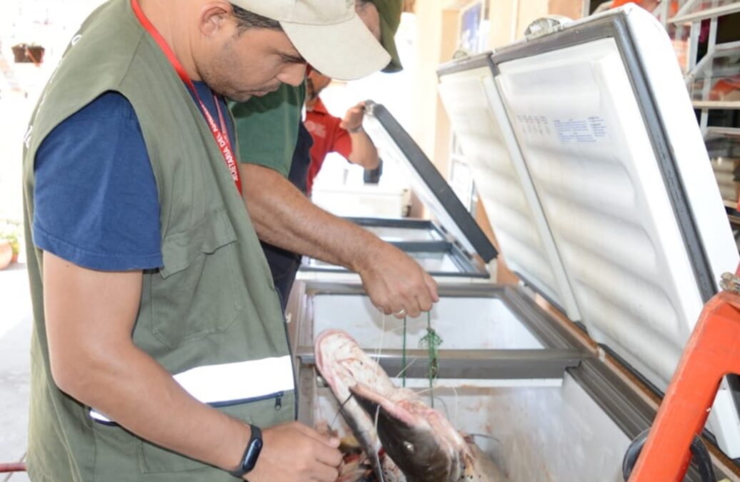 Verifican situación de varias pescaderías pilarenses