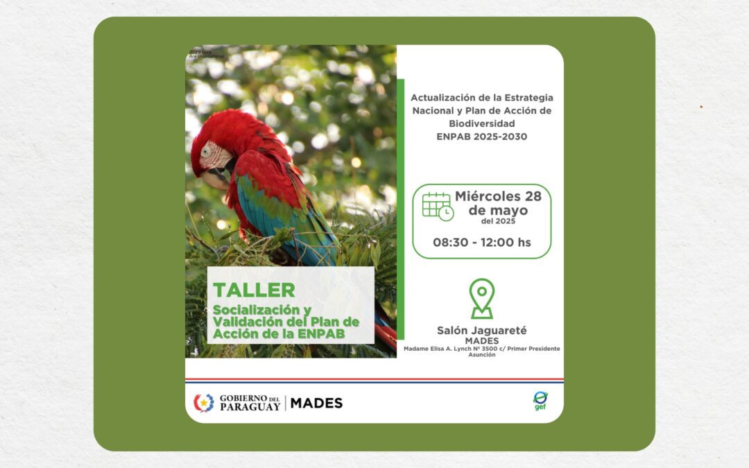 Taller de Socialización y Validación del Plan de Acción de la ENPAB 2025-2030