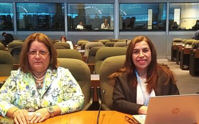 MADES participa de la 96ª Reunión del Comité Ejecutivo del Protocolo de Montreal