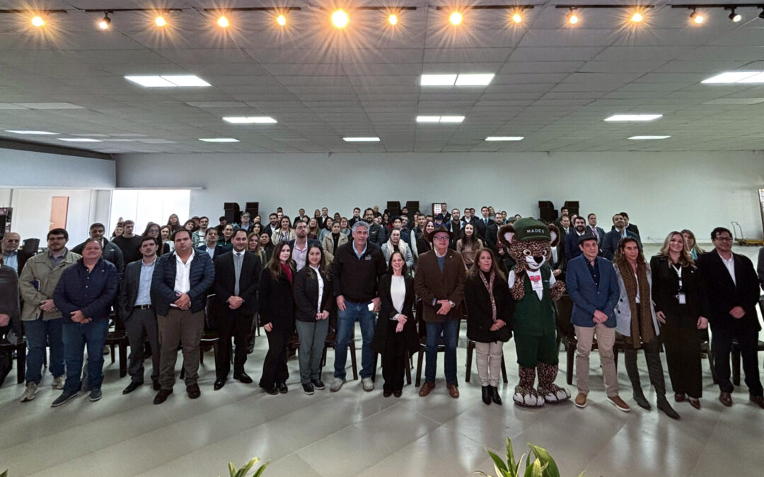 Paraguay destacó avances y oportunidades durante evento sobre mercados de carbono y el Artículo 6