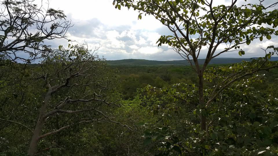 Guardaparques buscan a persona desaparecida en el Parque Nacional Defensores del Chaco