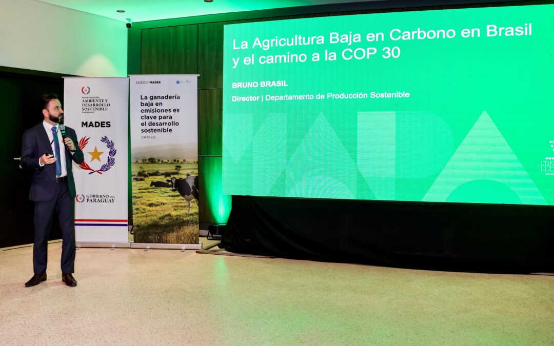 Taller en Paraguay conecta experiencias internacionales y oportunidades locales en ganadería sostenible