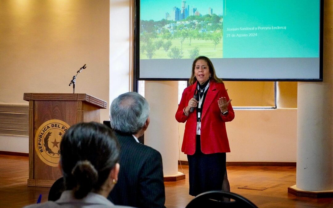 Capacitación sobre mercados de carbono para funcionarios del MIC