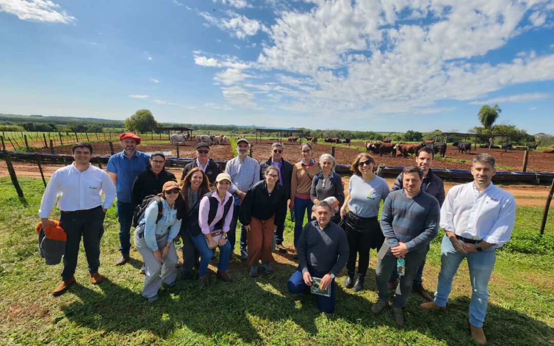 MADES culminó taller con salida de campo para conocer prácticas ganaderas sostenibles