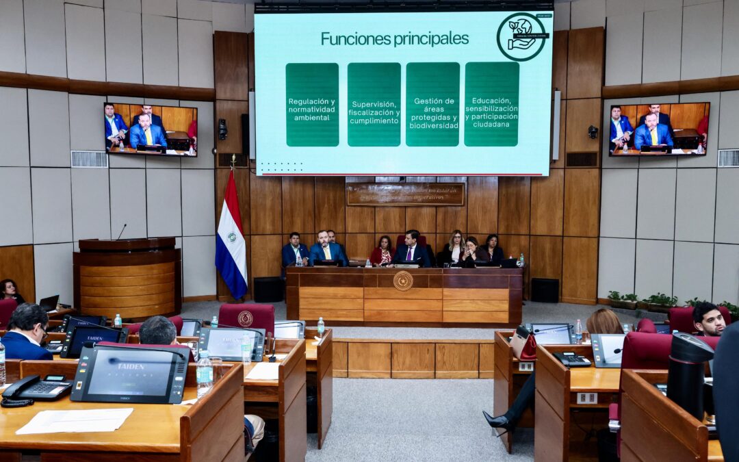 Ministro del Ambiente defendió presupuesto del MADES 2026 ante la Bicameral