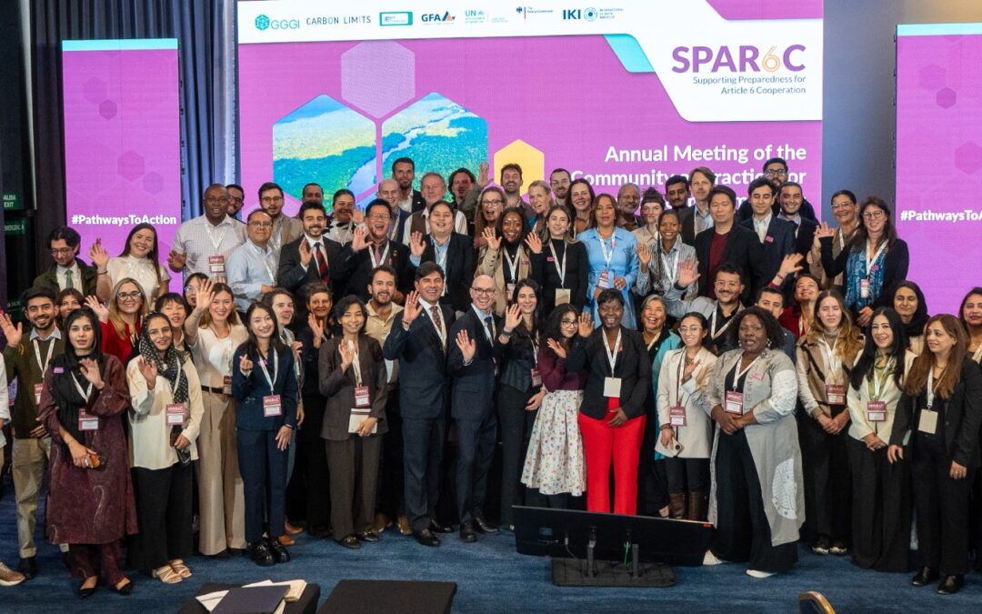 Delegación paraguaya participa en encuentro internacional sobre mercados de carbono