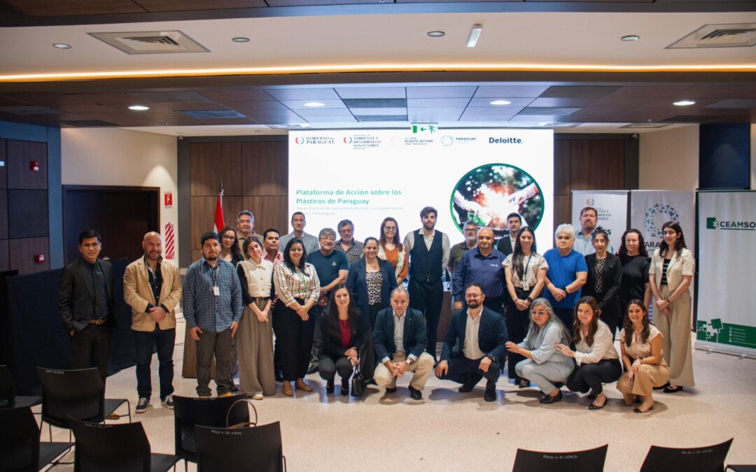La Plataforma Nacional de Acción sobre los Plásticos avanza en la construcción de la Línea de Base de Plásticos en Paraguay