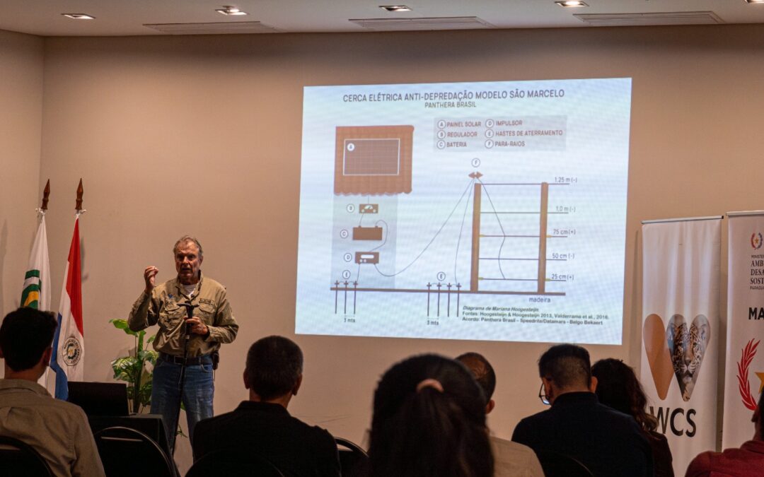 Ganadería y naturaleza: hacia un desarrollo productivo en equilibrio con la vida silvestre