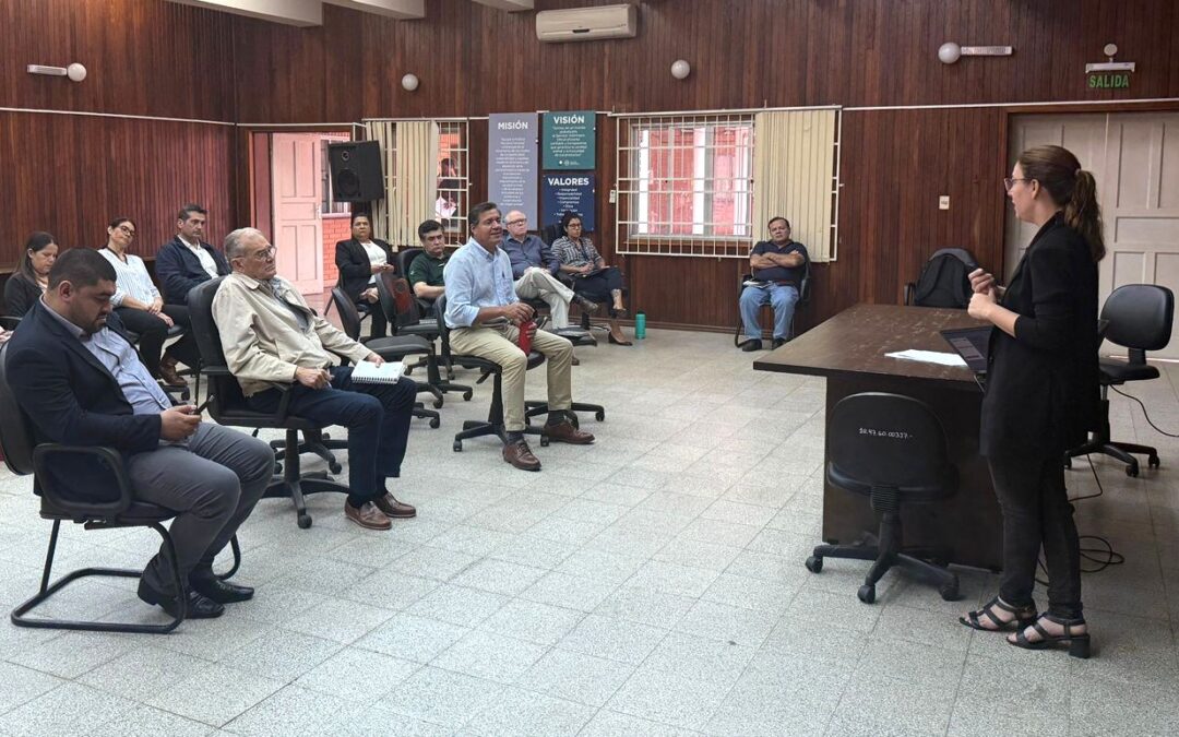 MADES presentó avances del Proyecto Paraguay + Verde en la Comisión Mixta de la Yerba Mate