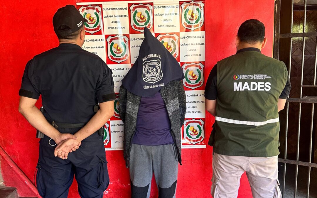 MADES y Policía Nacional detienen a reincidente por tráfico de fauna silvestre