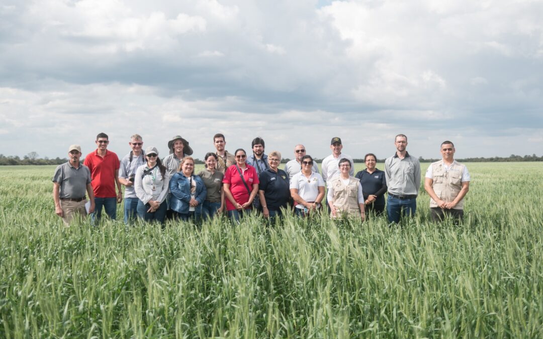 Paraguay es reconocido por la FAO por sus buenas prácticas en sistemas agroalimentarios sostenibles