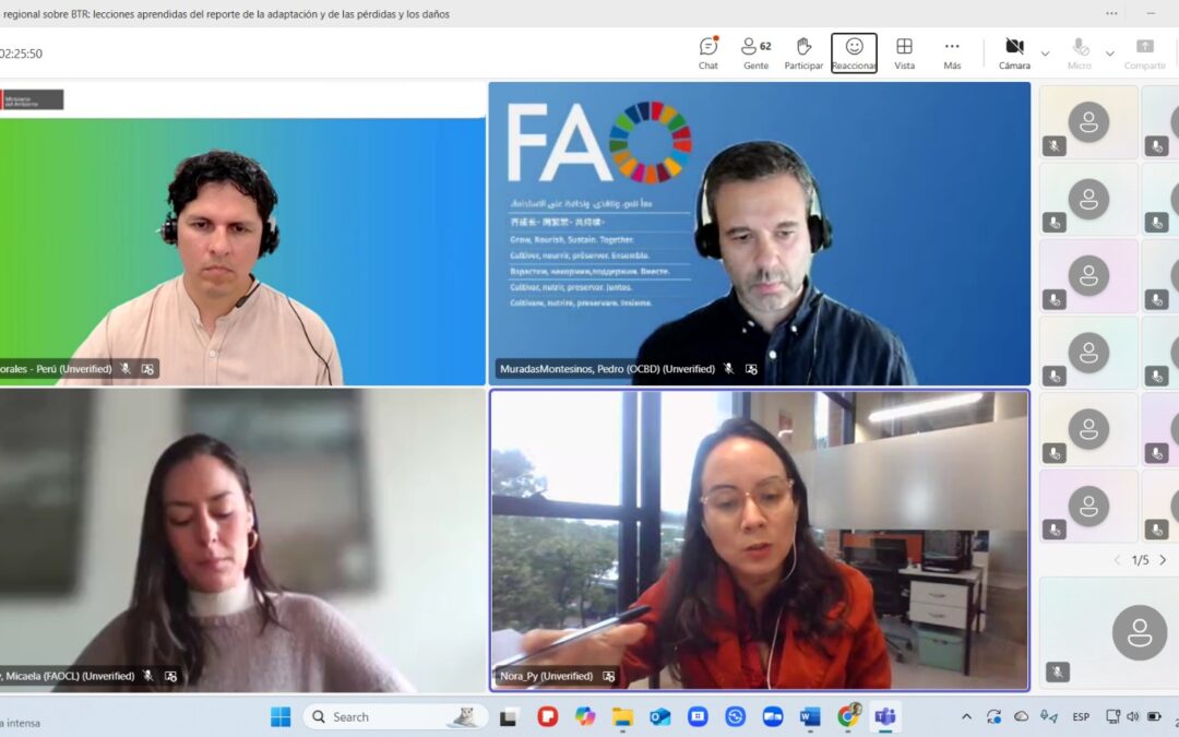 Socialización de Experiencia Paraguaya en Dialogo Regional