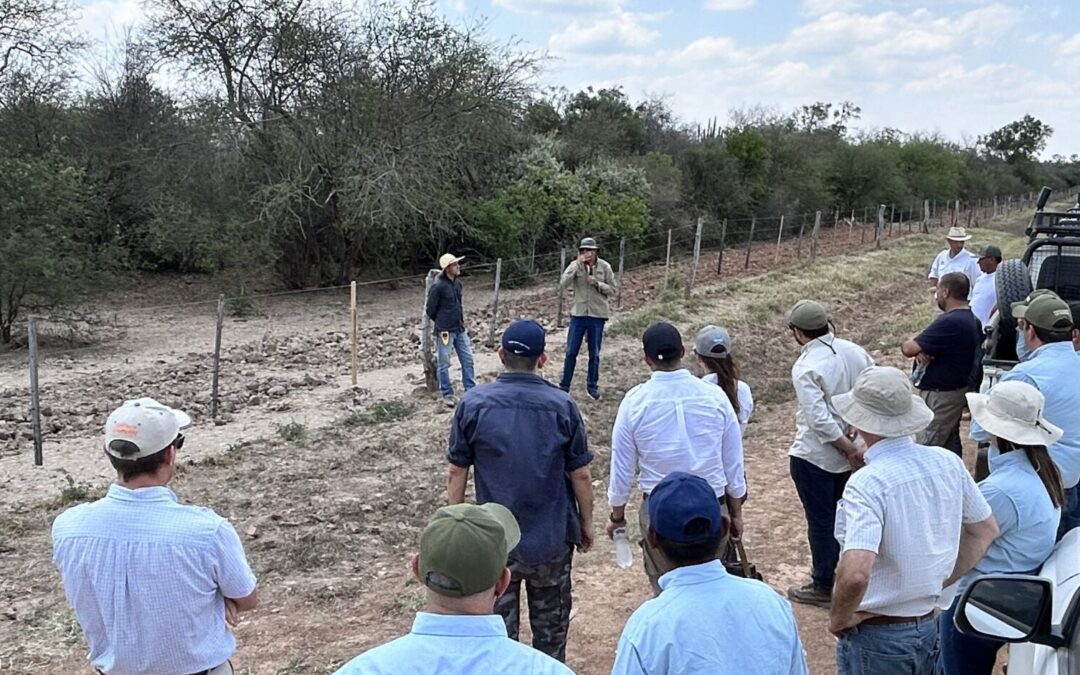 Productores y técnicos del Chaco fortalecen capacidades para una ganadería sostenible y en convivencia con los grandes felinos