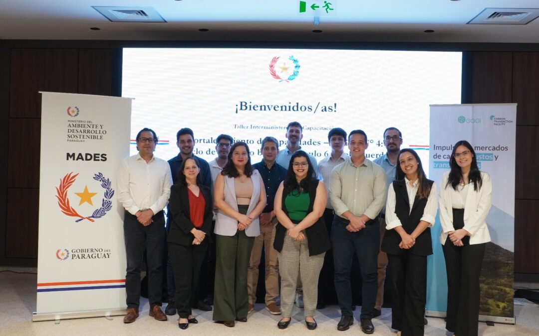 Mesa Interministerial de Mercados de Carbono finaliza ciclo de capacitación