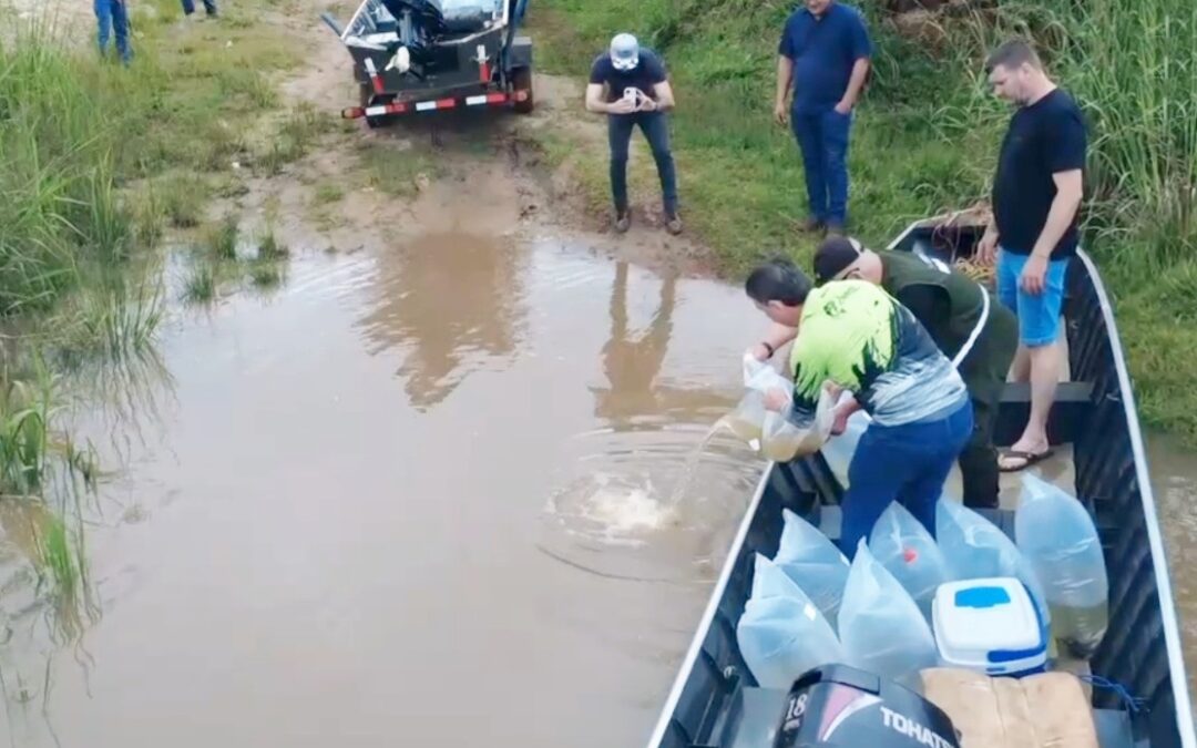 MADES acompaña siembra de 70.000 alevines para fortalecer la acuicultura sostenible